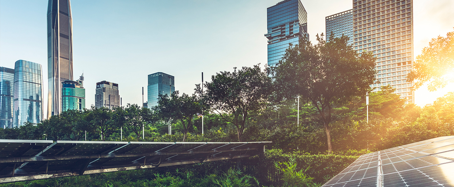 Solar panels amongst green trees with buildings in the background