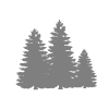 Trees icon