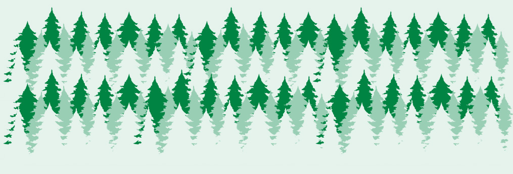 Rows of green trees