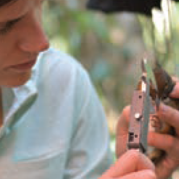 Homem que estuda a vida das plantas na floresta tropical brasileira