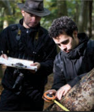 Dois homens que examinam árvores em Wytham Woods, Oxfordshire