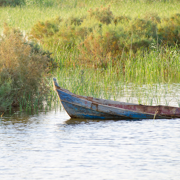 Boat in the marshes