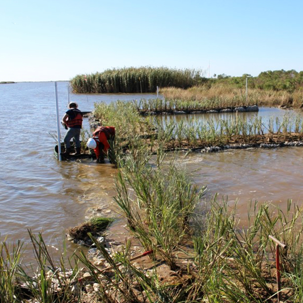 Working on the shoreline of Louisiana