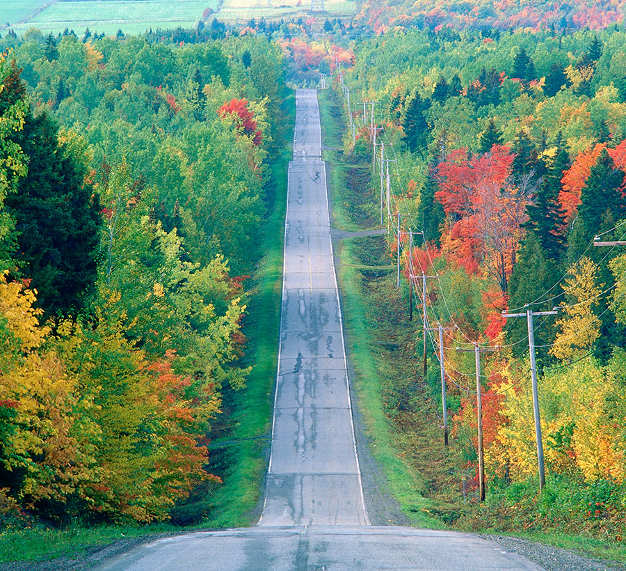 photo of a rural road
