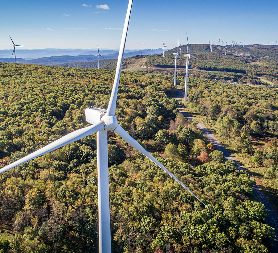 energy windmills in the Washington forest